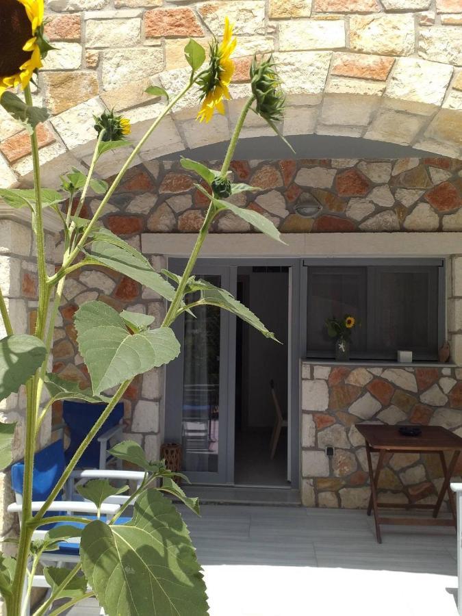 Golden Dolphin Studios & Apartments Alykes  Luaran gambar